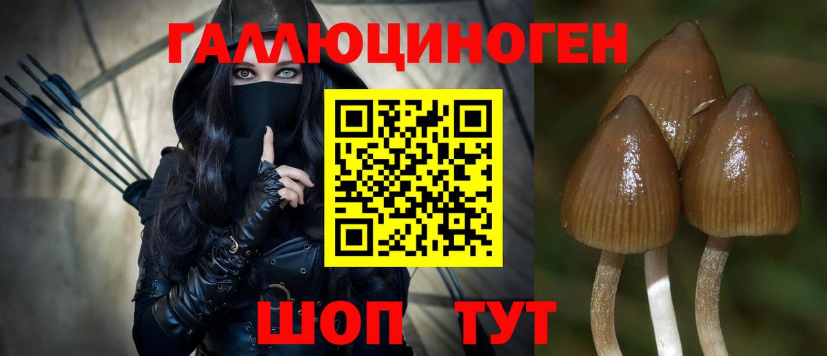 Галлюциногенные грибы MAGIC MUSHROOMS Анжеро-Судженск
