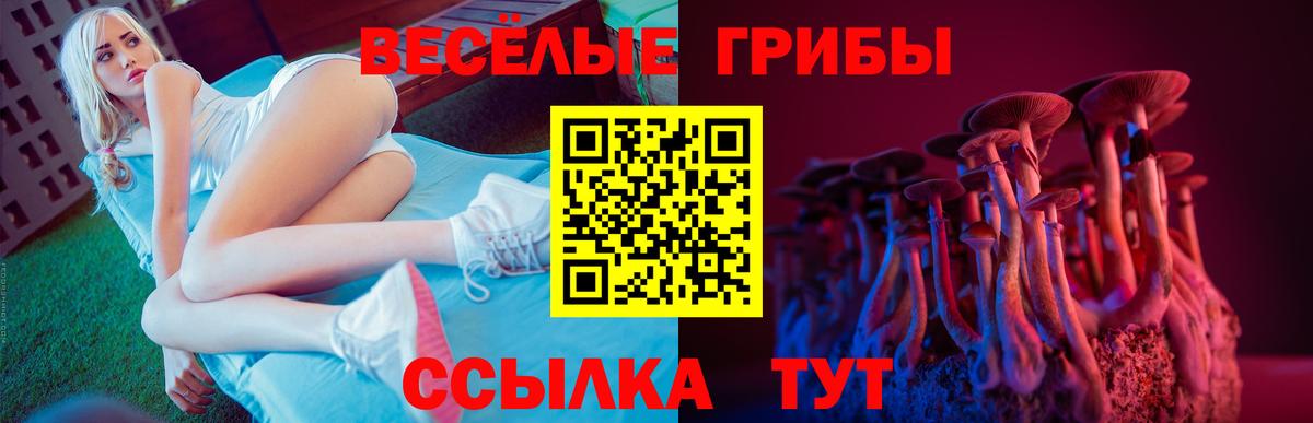 где купить наркоту  Вход с VPN  Анжеро-Судженск  Псилоцибиновые грибы GOLDEN TEACHER  Галлюциногенные грибы Psilocybine cubensis 